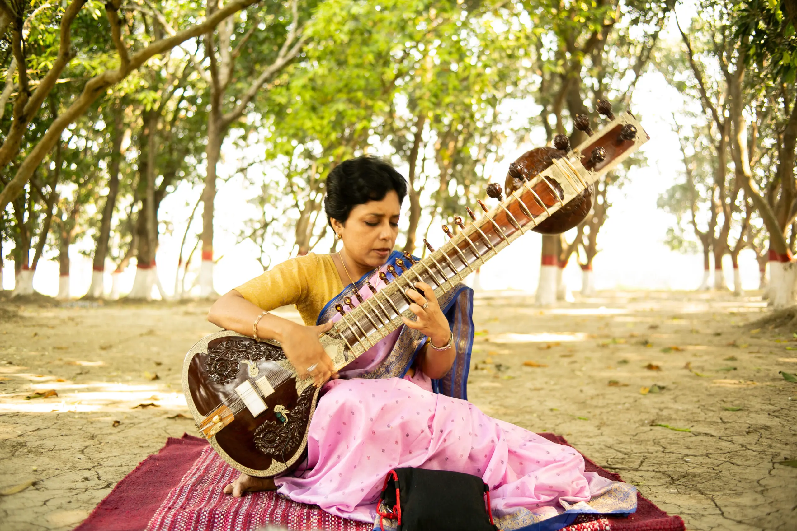 The Sitar and Surbahar: India’s most famous instrument and its bass cousin 